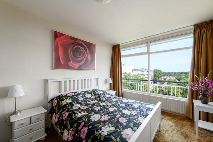 Foto 6 van Buizerd 71