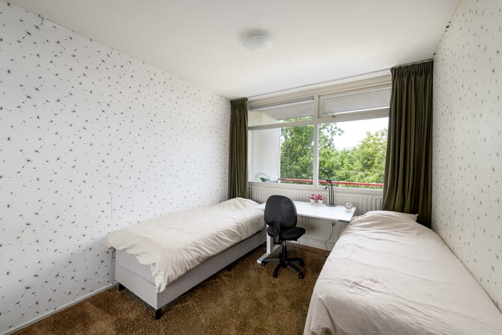 Foto 7 van Buizerd 71