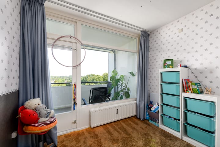 Foto 8 van Buizerd 71