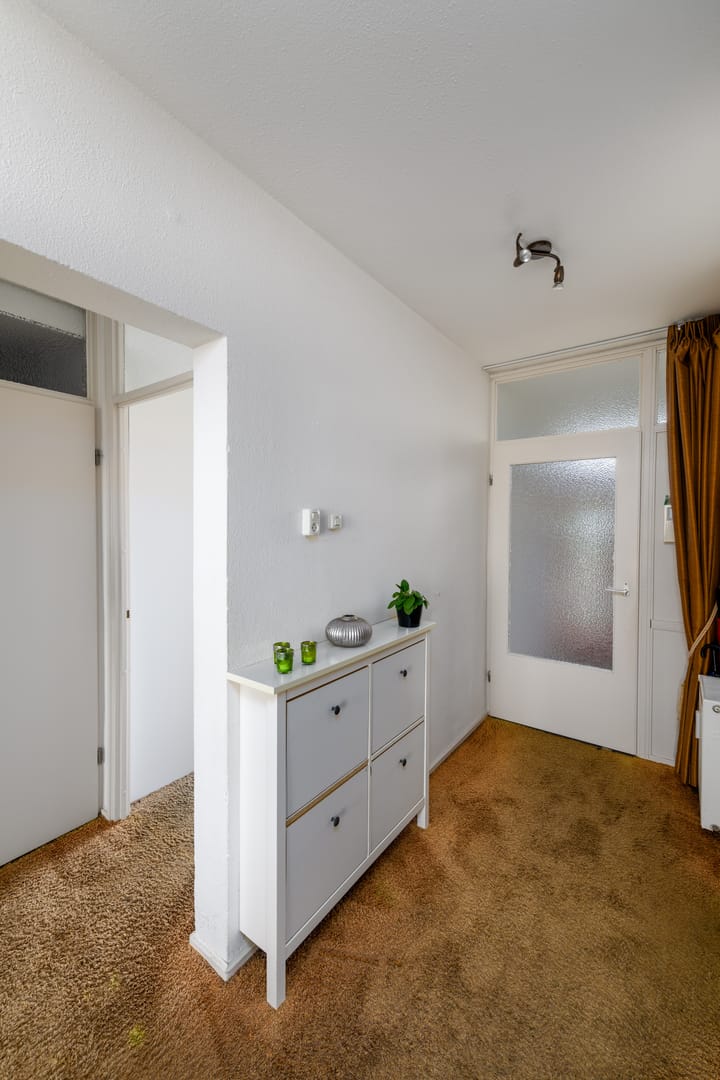 Foto 10 van Buizerd 71