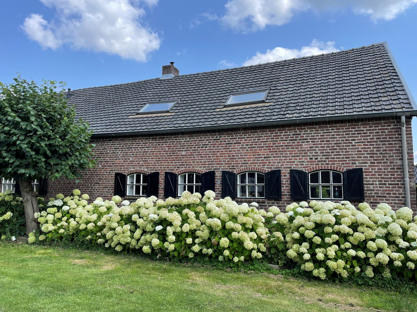 Foto 55 van Grootdorp 65