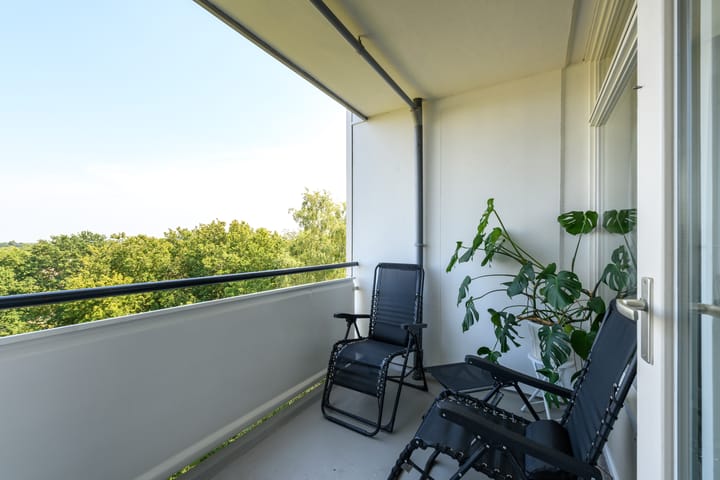 Foto 15 van Buizerd 71