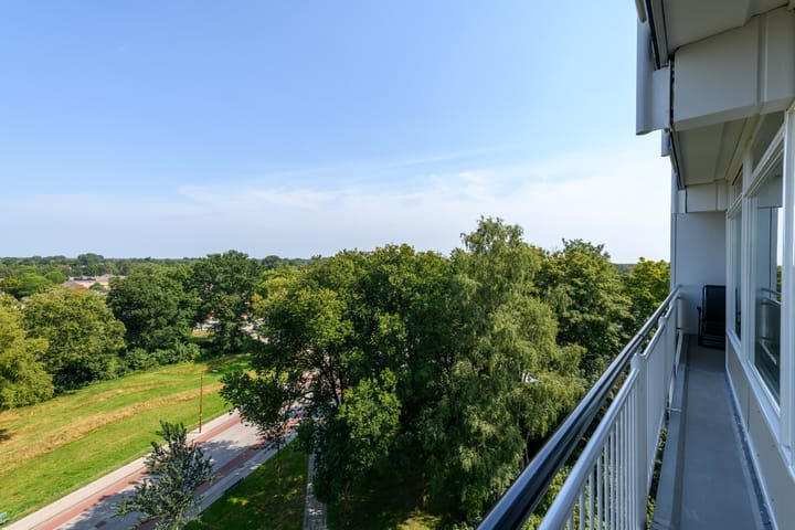 Foto 16 van Buizerd 71