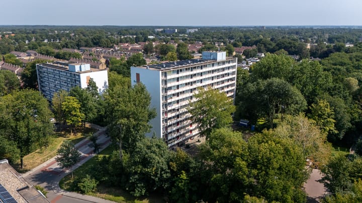 Foto 24 van Buizerd 71