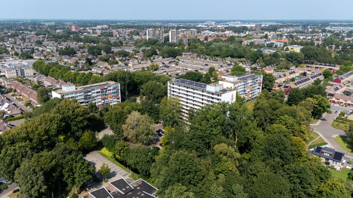 Foto 25 van Buizerd 71