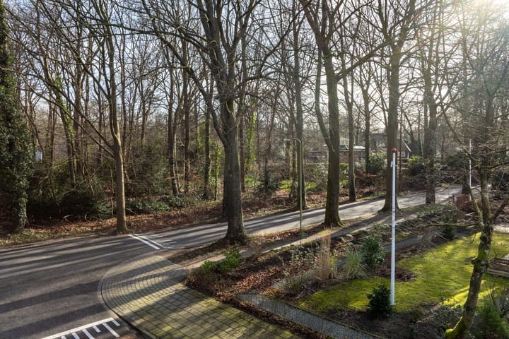 Foto 4 van Selterskampweg