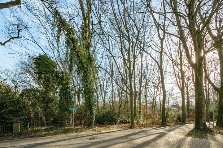 Foto 5 van Selterskampweg