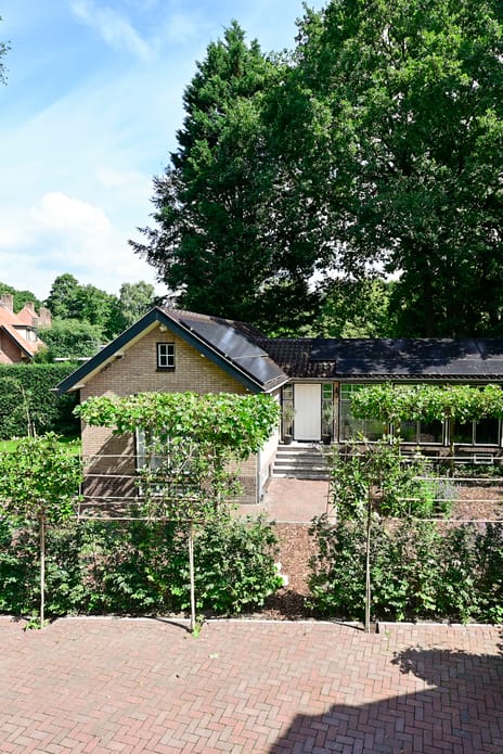 Groene Allee thumbnail