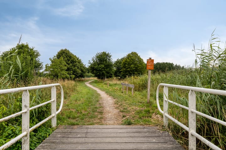 Foto 31 van Ds. Allendorpstraat 38