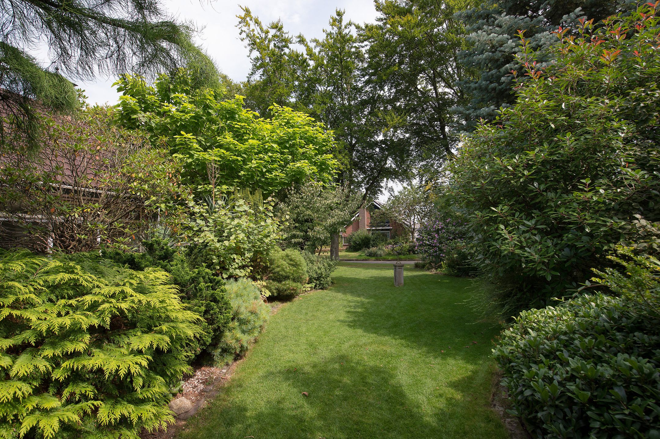 Foto 3 van Westerbosje 4