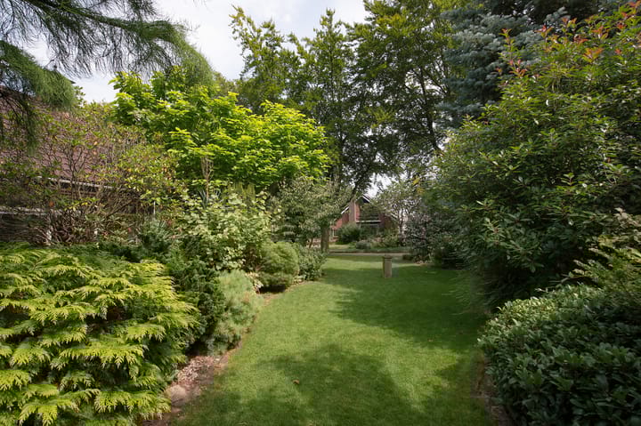 Foto 3 van Westerbosje 4