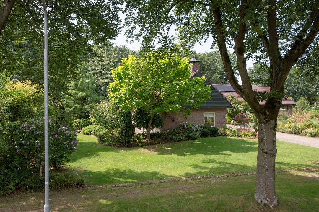 Foto 53 van Westerbosje 4