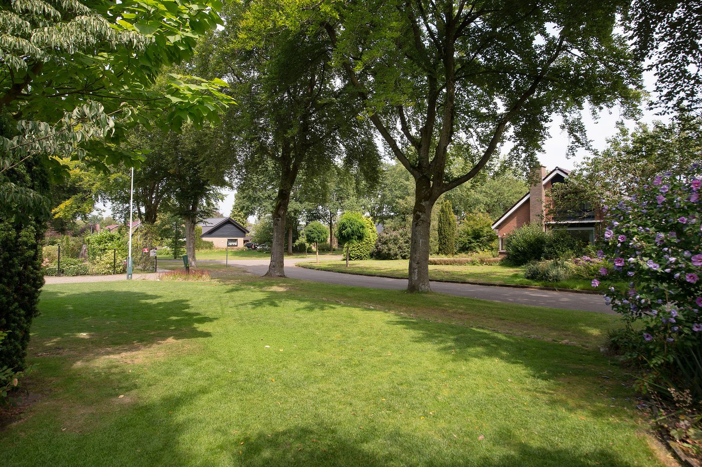 Foto 55 van Westerbosje 4