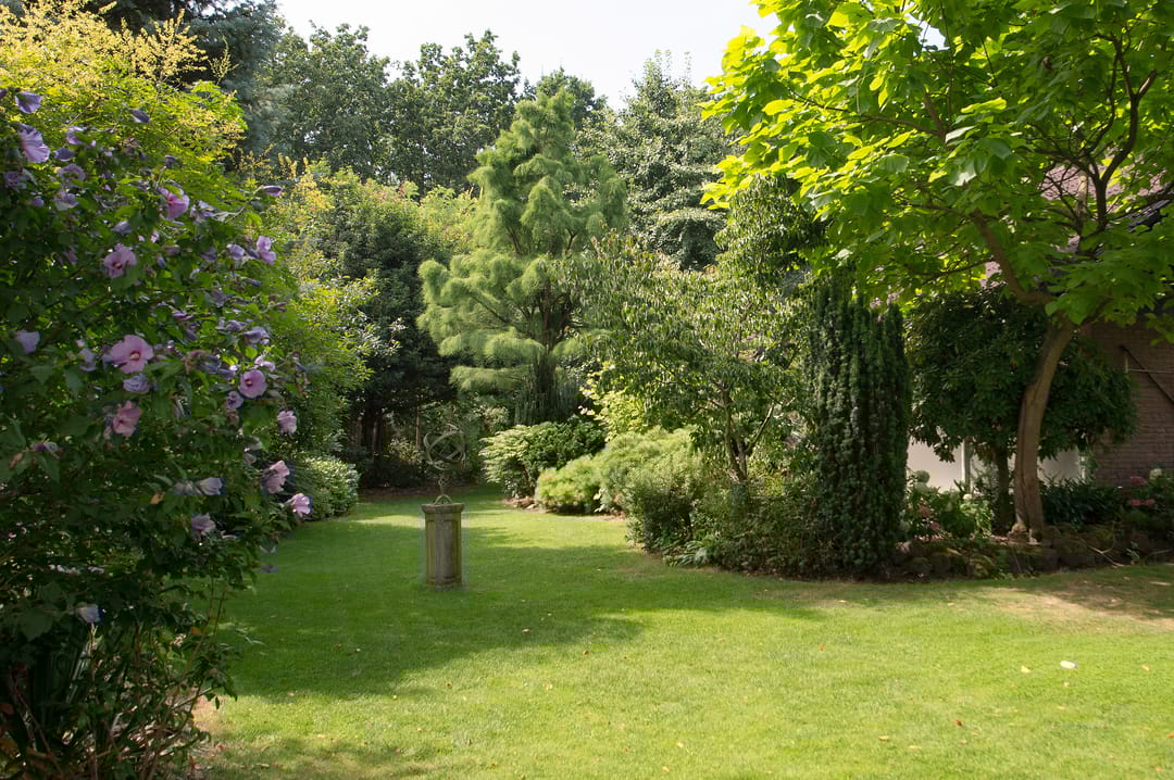 Foto 56 van Westerbosje 4