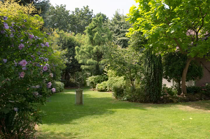 Foto 56 van Westerbosje 4