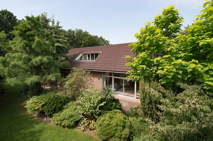 Foto 57 van Westerbosje 4