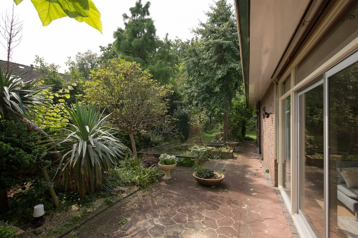 Foto 58 van Westerbosje 4