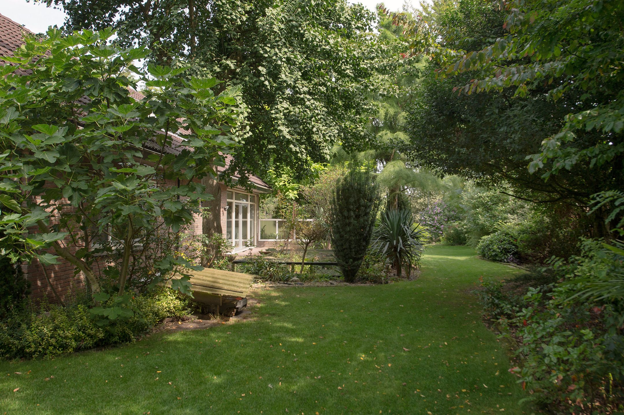 Foto 60 van Westerbosje 4