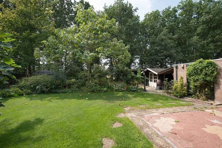 Foto 63 van Westerbosje 4