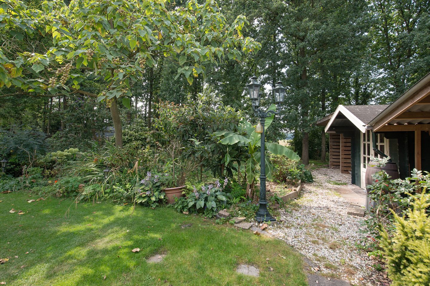 Foto 64 van Westerbosje 4