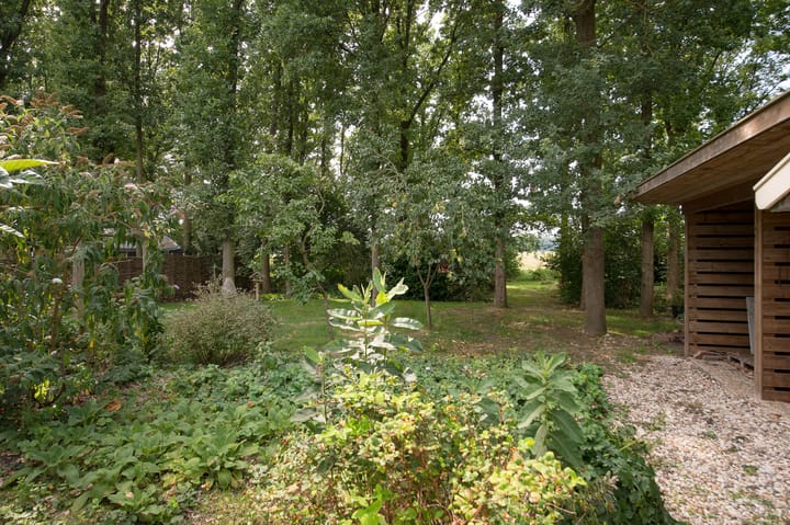 Foto 65 van Westerbosje 4