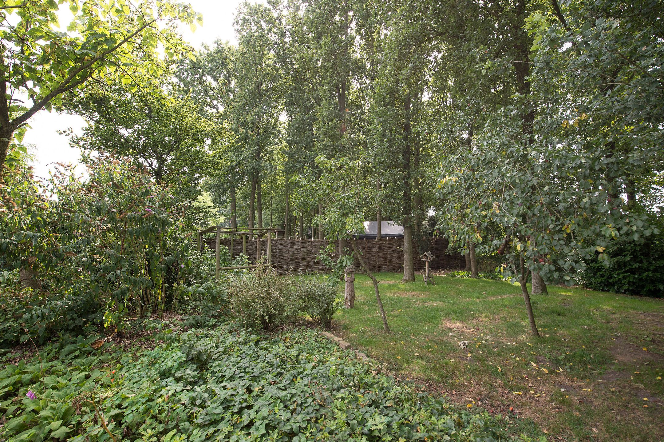 Foto 66 van Westerbosje 4