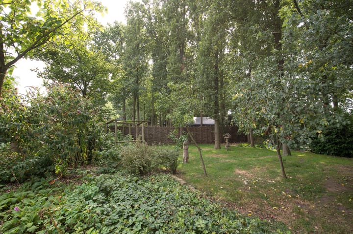 Foto 66 van Westerbosje 4