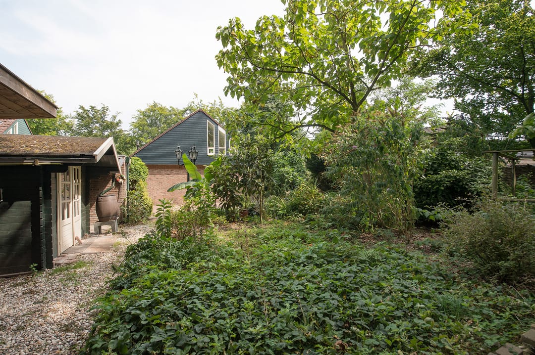 Foto 68 van Westerbosje 4