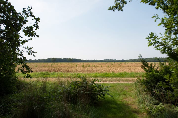 Foto 71 van Westerbosje 4