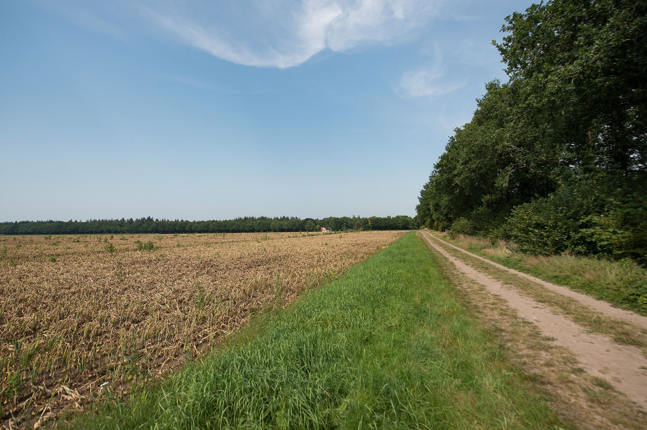 Foto 72 van Westerbosje 4