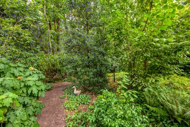 Foto 36 van Halderheiweg 2