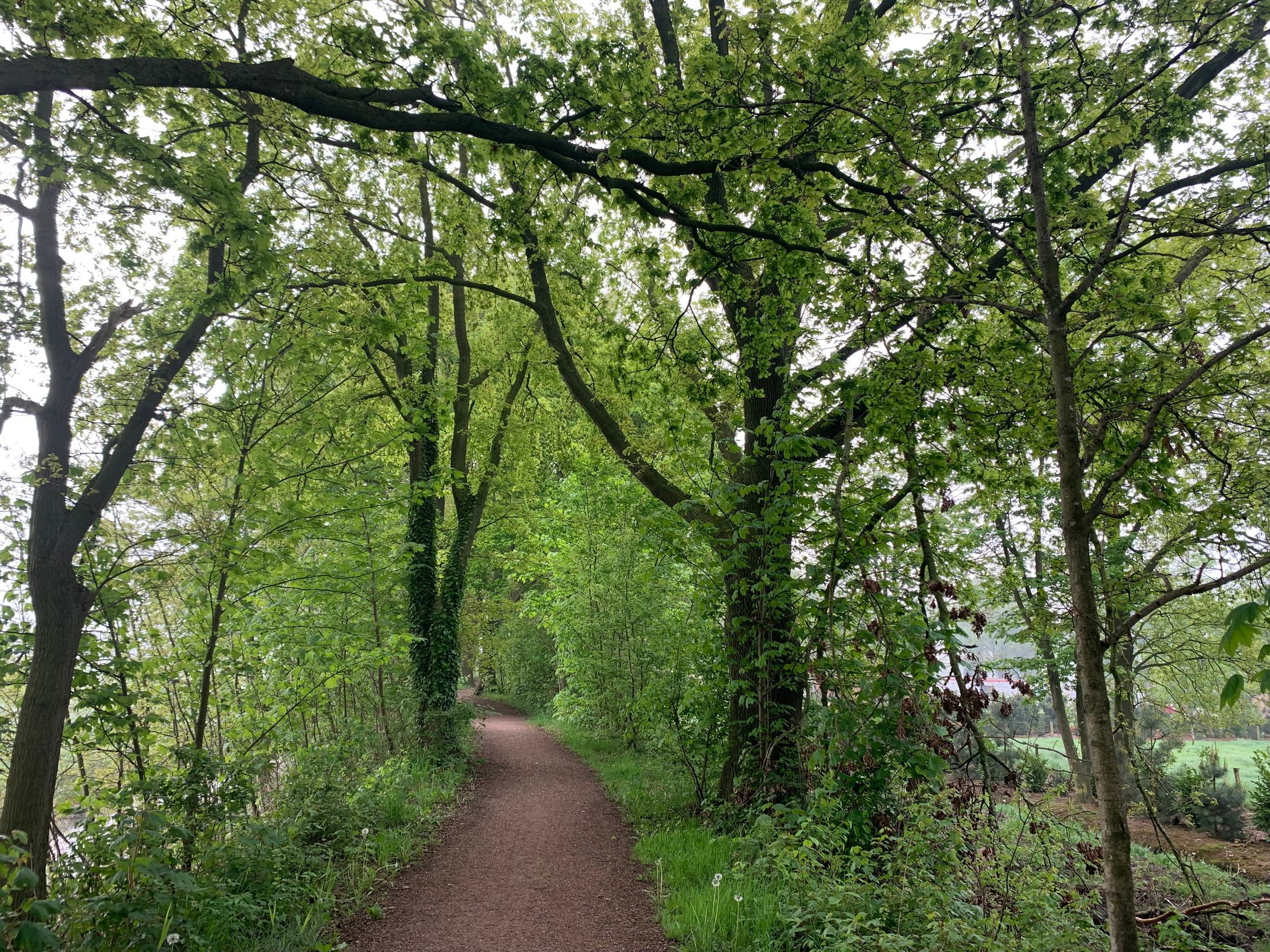 Foto 33 van Beemdweg 3