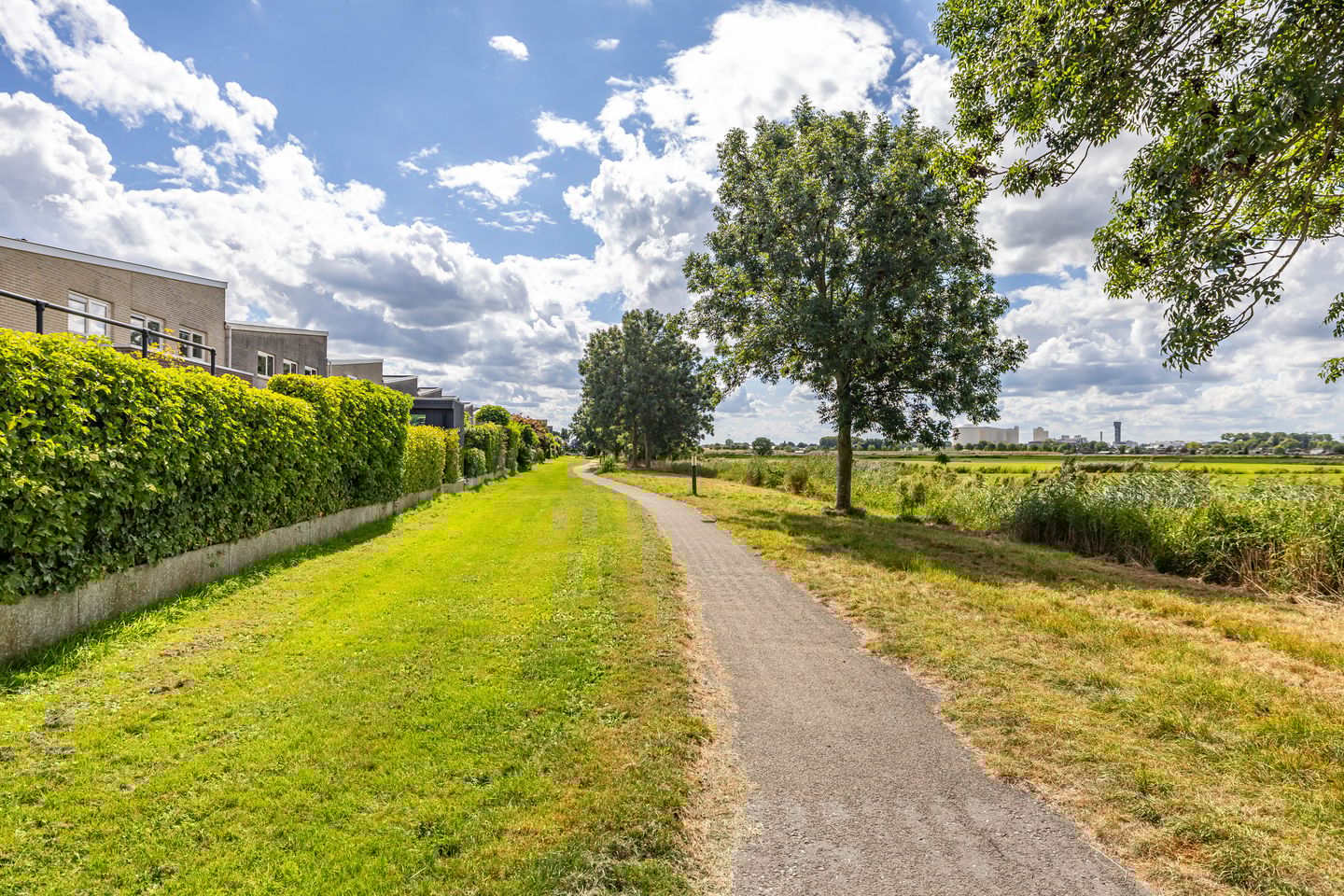 Foto 4 van Jacob Schorerstraat 55