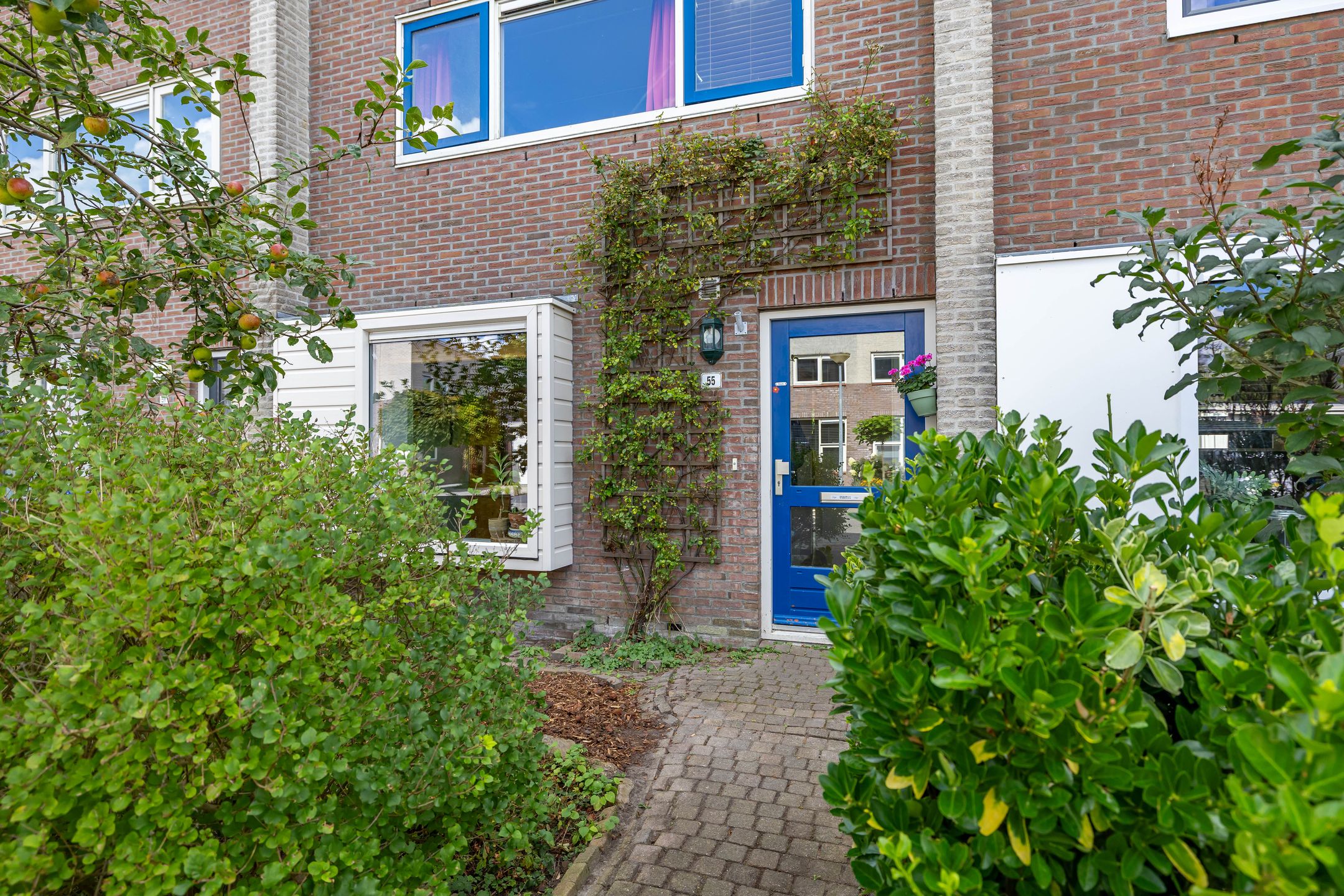 Foto 6 van Jacob Schorerstraat 55