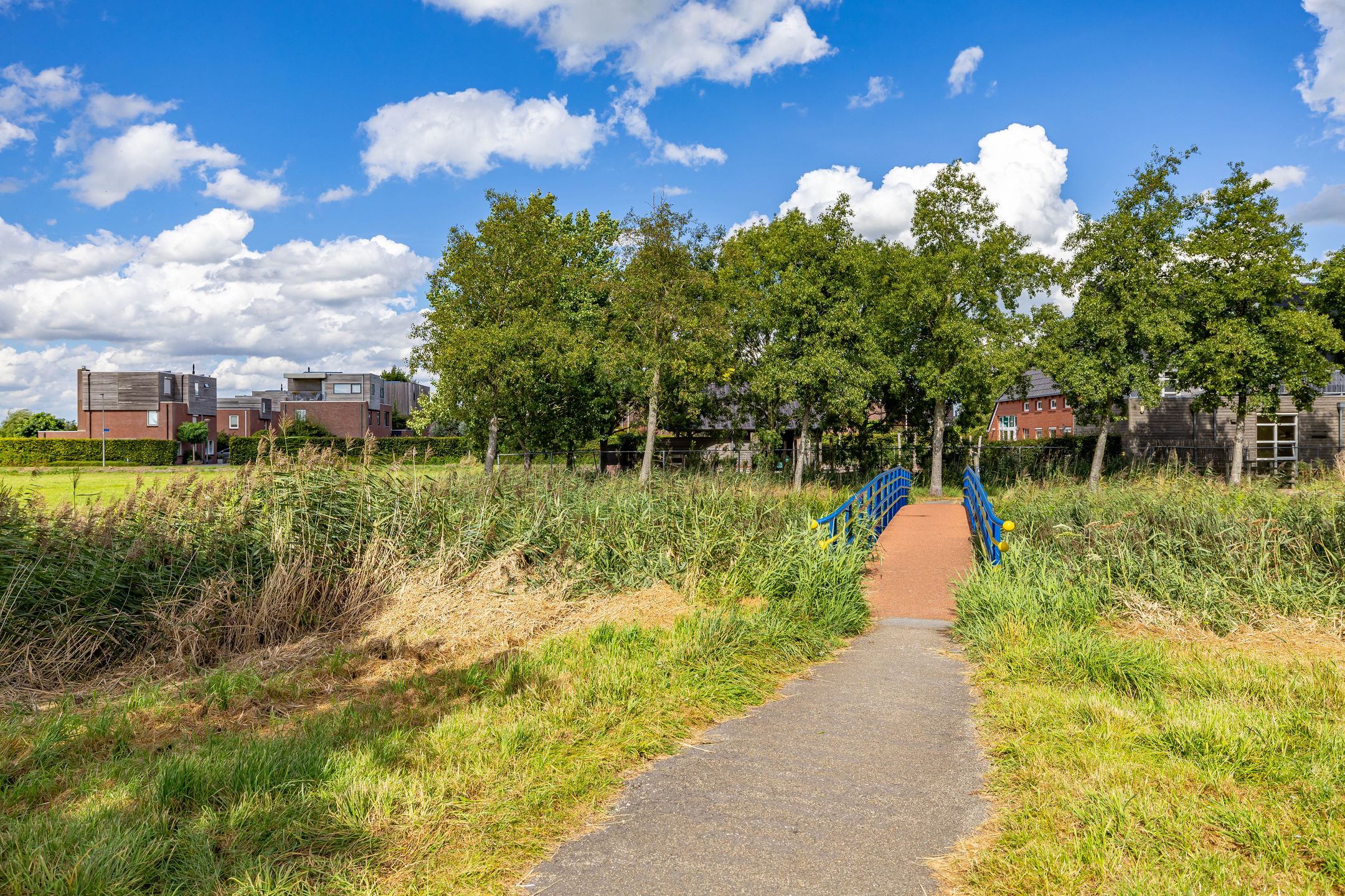 Foto 36 van Jacob Schorerstraat 55