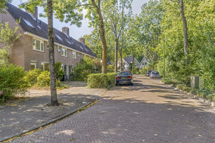 Foto 31 van Bosrank 32