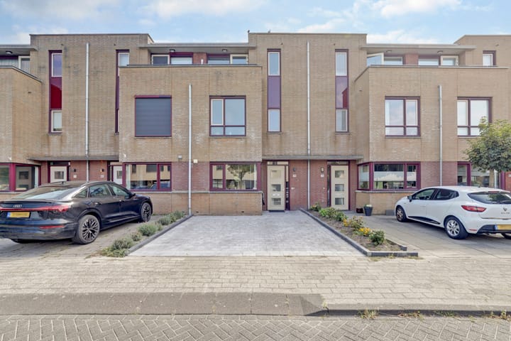 Foto 1 van Slangekruid 78