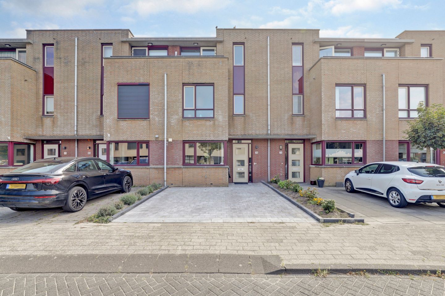 Foto 1 van Slangekruid 78