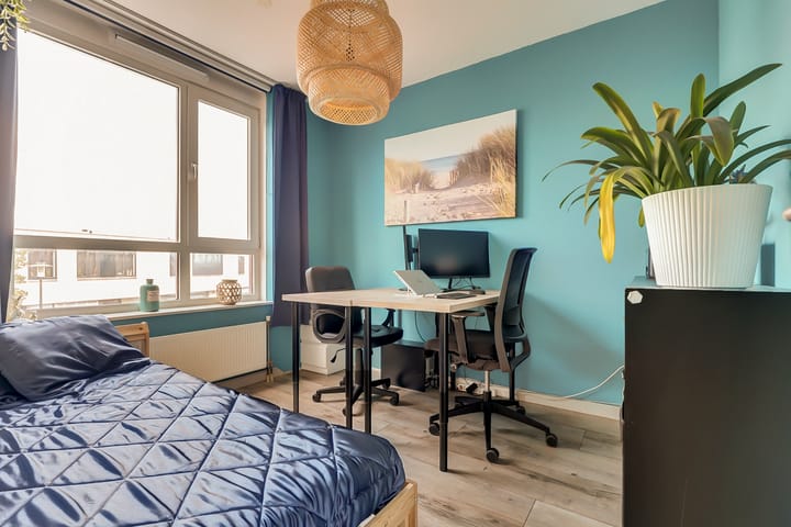 Foto 12 van Slangekruid 78