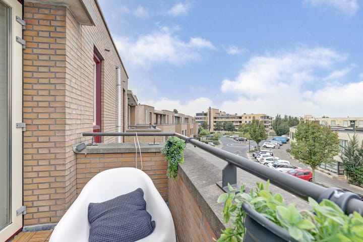 Foto 25 van Slangekruid 78