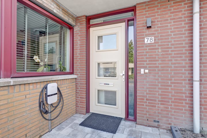 Foto 34 van Slangekruid 78