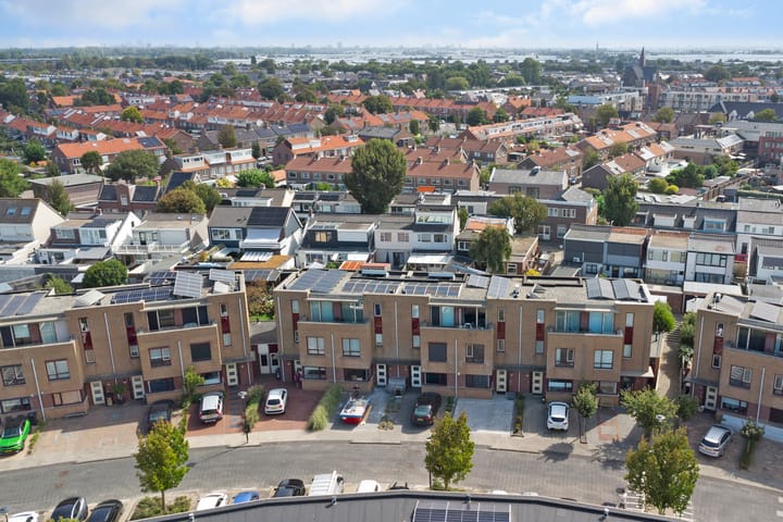 Foto 35 van Slangekruid 78