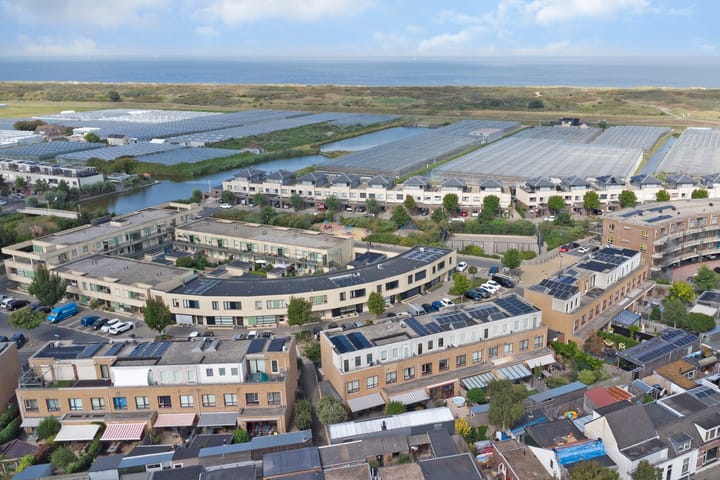 Foto 36 van Slangekruid 78