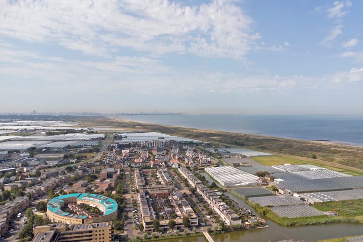 Foto 37 van Slangekruid 78