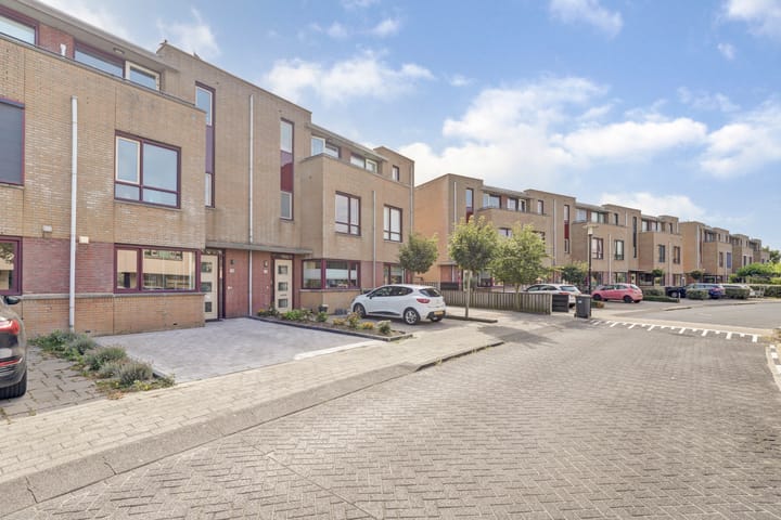 Foto 38 van Slangekruid 78