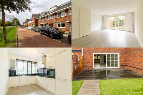 undefined main image