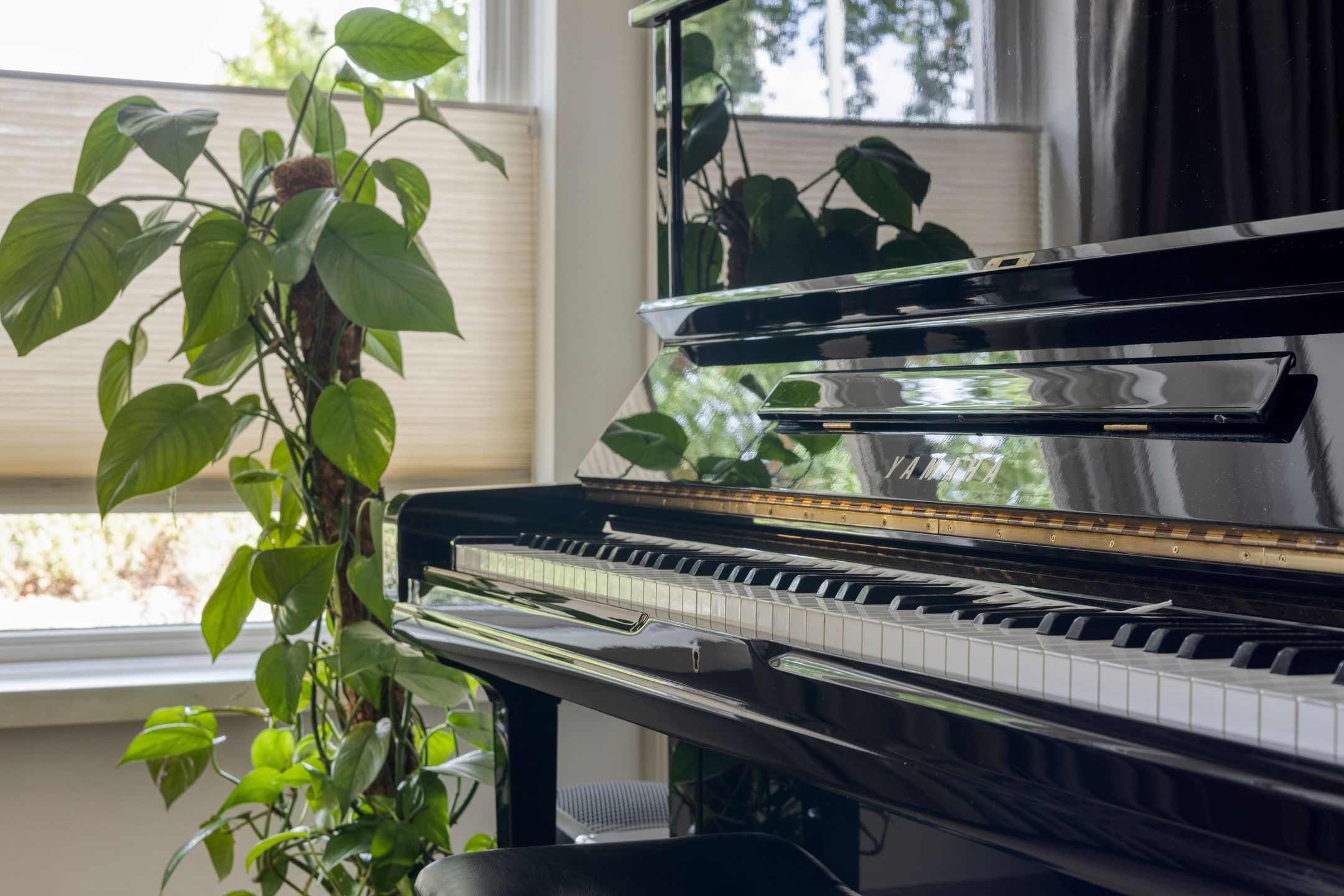 Foto 12 van Walravenstraat 2