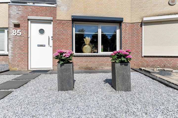 Foto 5 van Jasmijnberg 85
