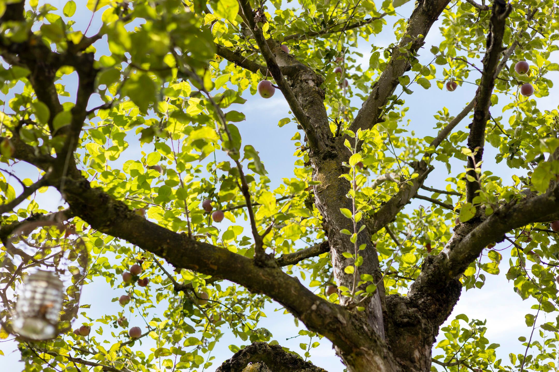 Foto 57 van Walravenstraat 2