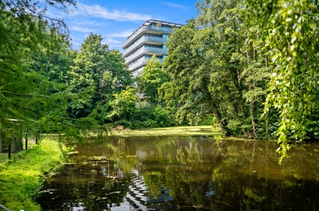 Oostduinplein thumbnail